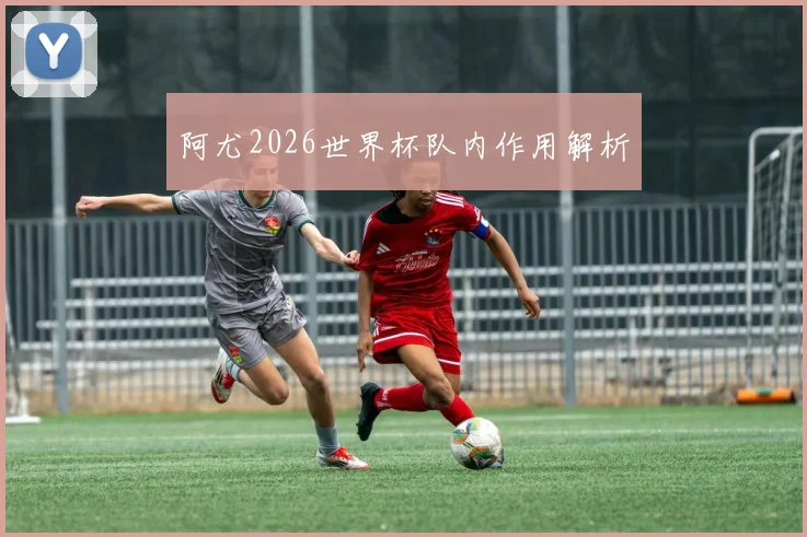 阿尤2026世界杯队内作用解析