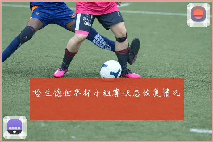 哈兰德世界杯小组赛状态恢复情况
