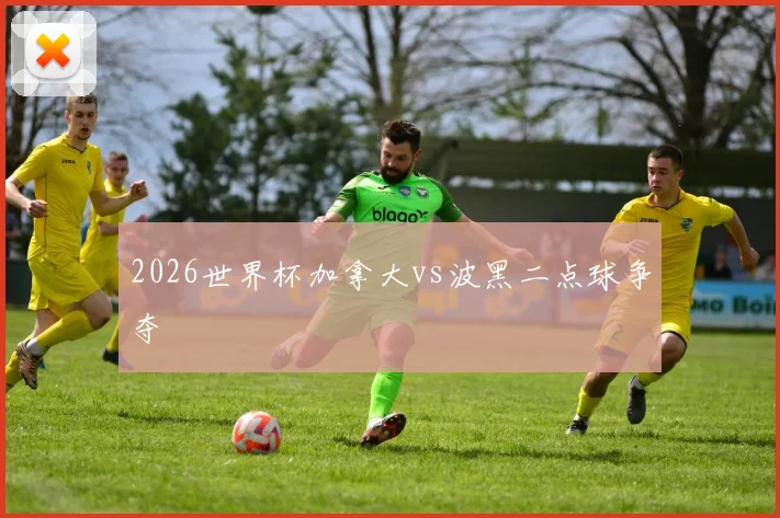 2026世界杯加拿大vs波黑二点球争夺