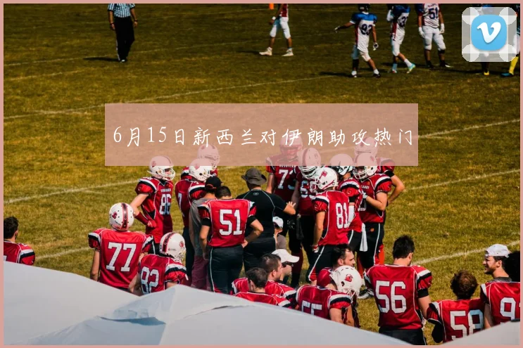 6月15日新西兰对伊朗助攻热门