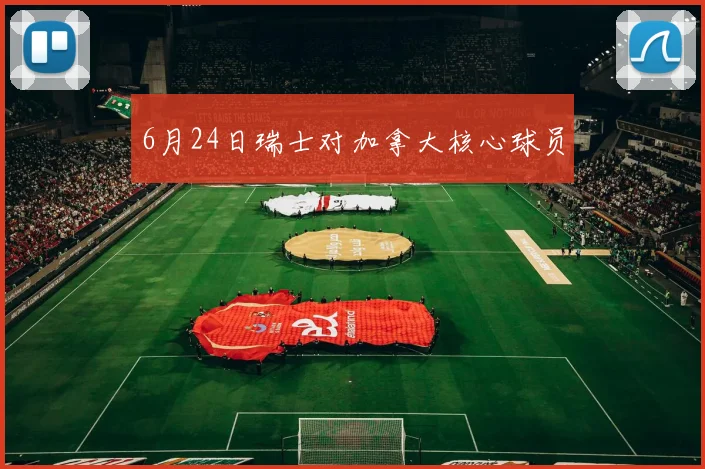 6月24日瑞士对加拿大核心球员
