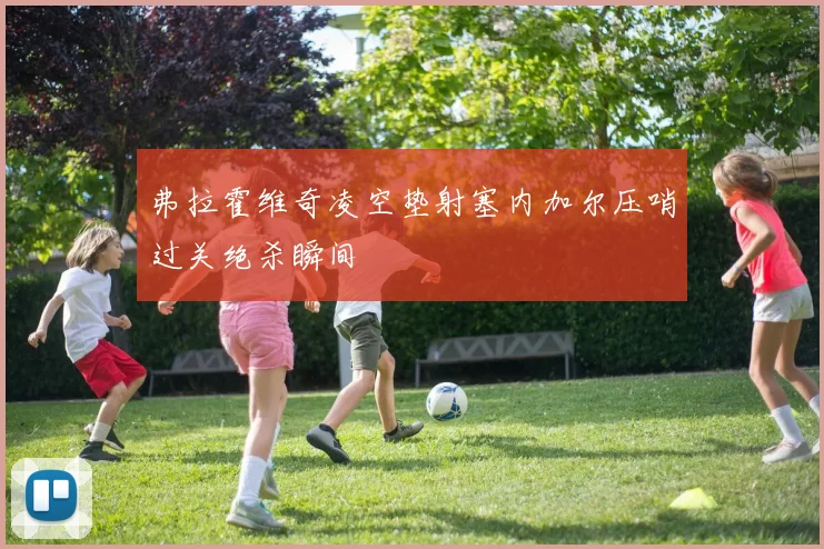 弗拉霍维奇凌空垫射塞内加尔压哨过关绝杀瞬间