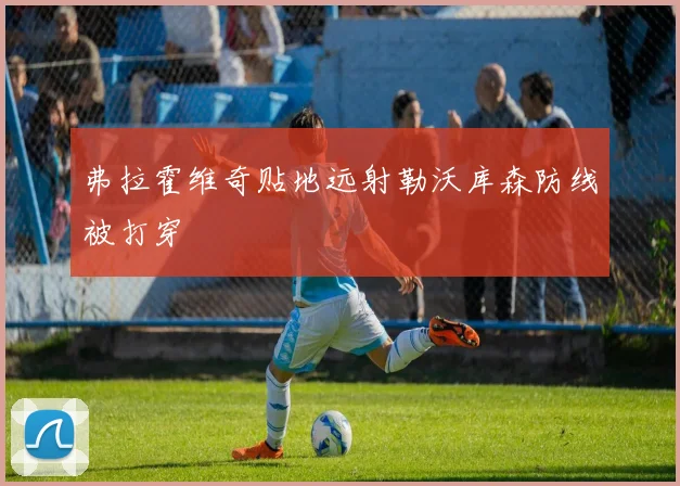 弗拉霍维奇贴地远射勒沃库森防线被打穿