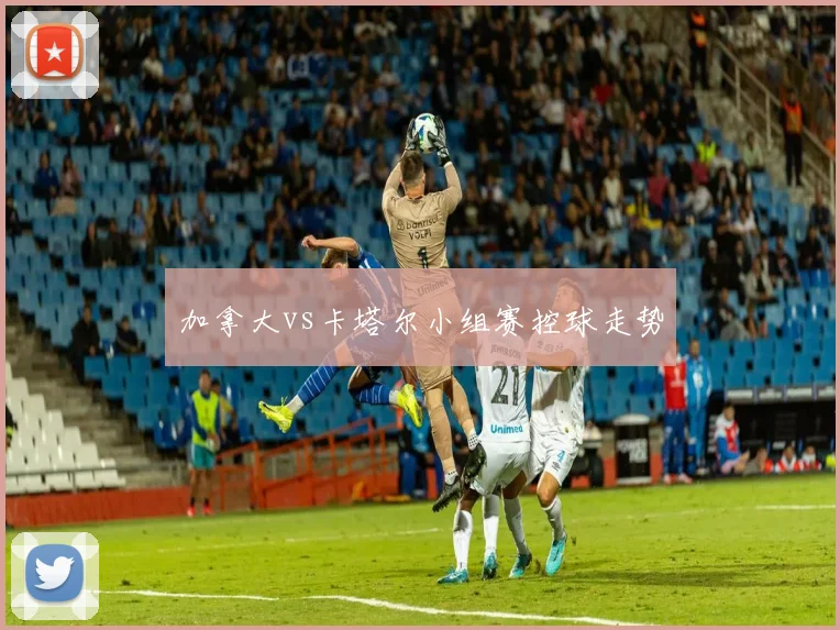加拿大vs卡塔尔小组赛控球走势